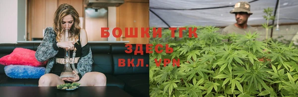 хмурый Инсар