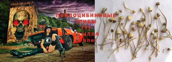 мет Заводоуковск