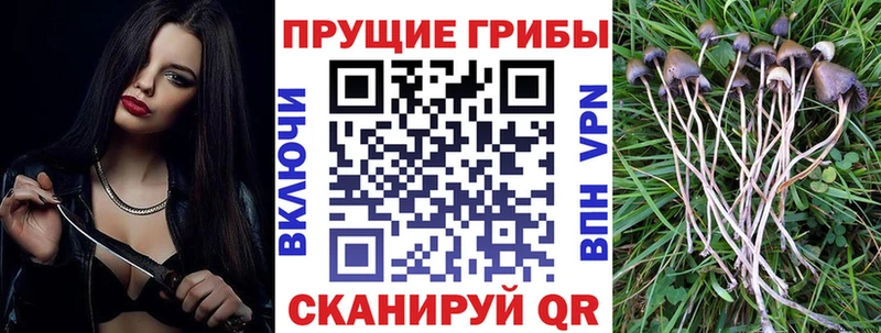 Купить  Остров  Псилоцибиновые грибы мухоморы 
